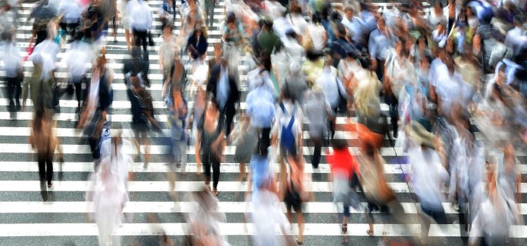 Navigating the Job Market in the UK - A Guide for Graduates